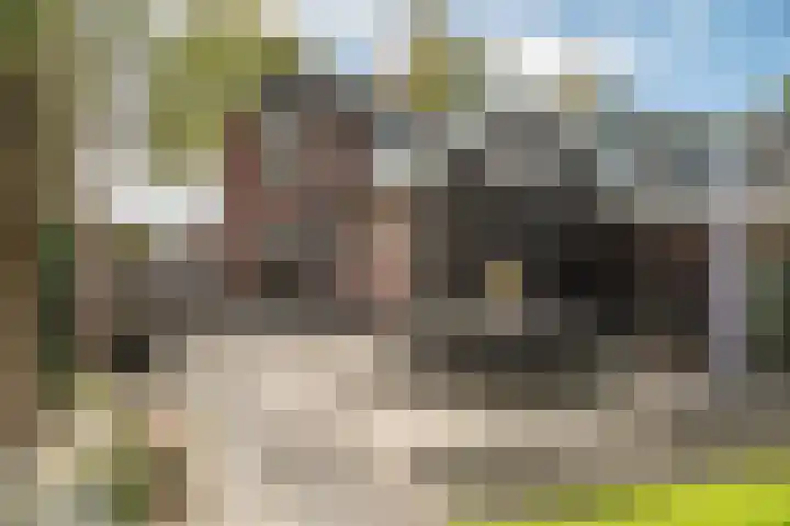 Prins Bernhardlaan 76 Borne thumbnail 37