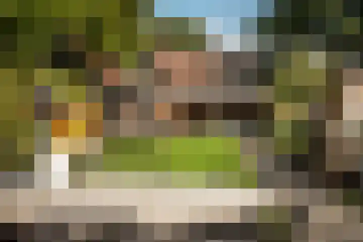Prins Bernhardlaan 76 Borne thumbnail 38