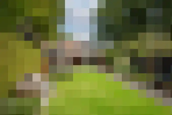 Prins Bernhardlaan 76 Borne thumbnail 39