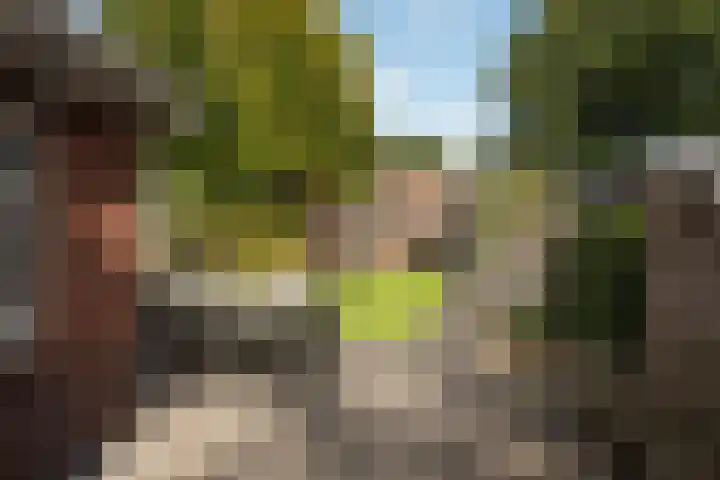 Prins Bernhardlaan 76 Borne thumbnail 4