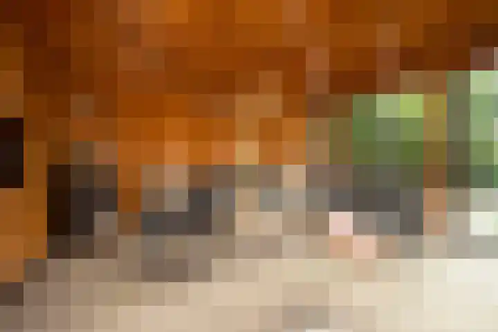 Prins Bernhardlaan 76 Borne thumbnail 41
