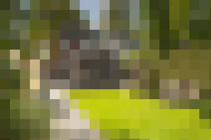 Prins Bernhardlaan 76 Borne thumbnail 42