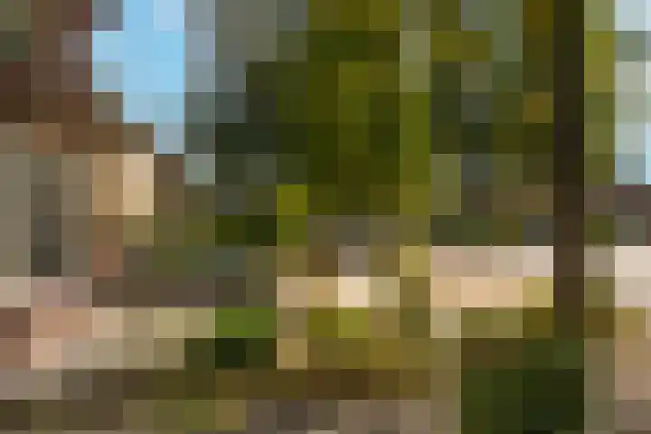 Prins Bernhardlaan 76 Borne thumbnail 43