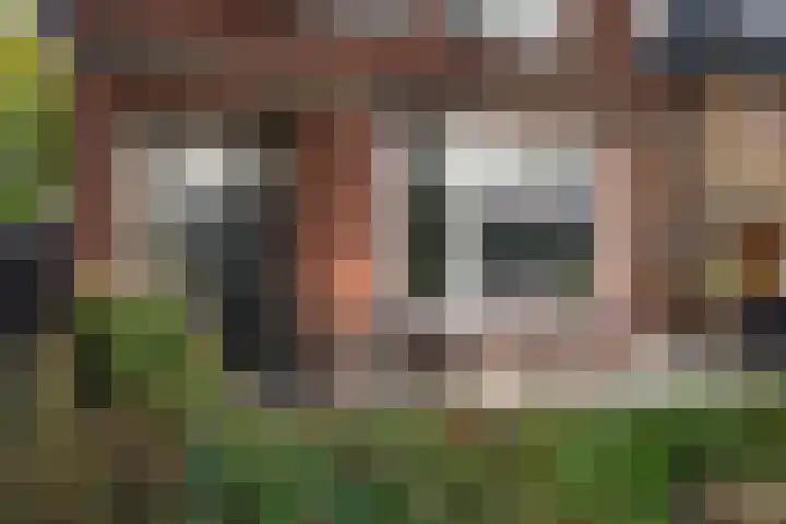 Prins Bernhardlaan 76 Borne thumbnail 7