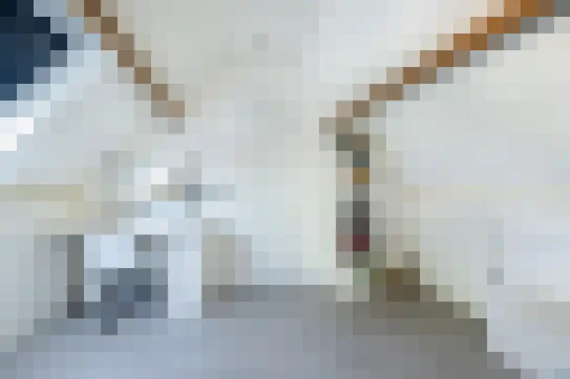 Prins Bernhardlaan 77 Middelharnis thumbnail 34