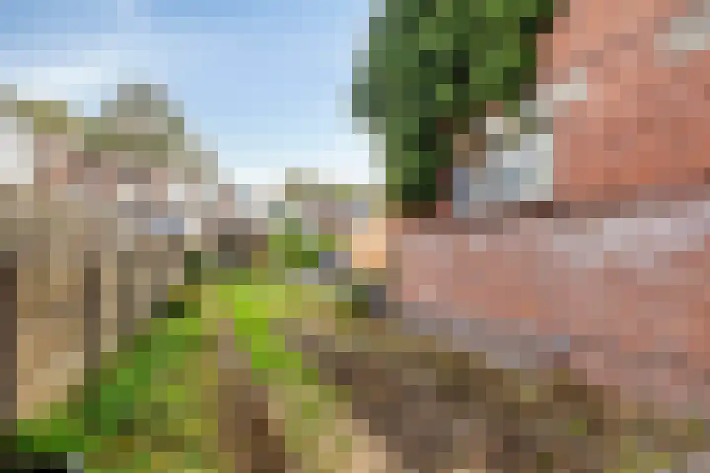 Prins Bernhardlaan 79 Bergen op Zoom thumbnail 31