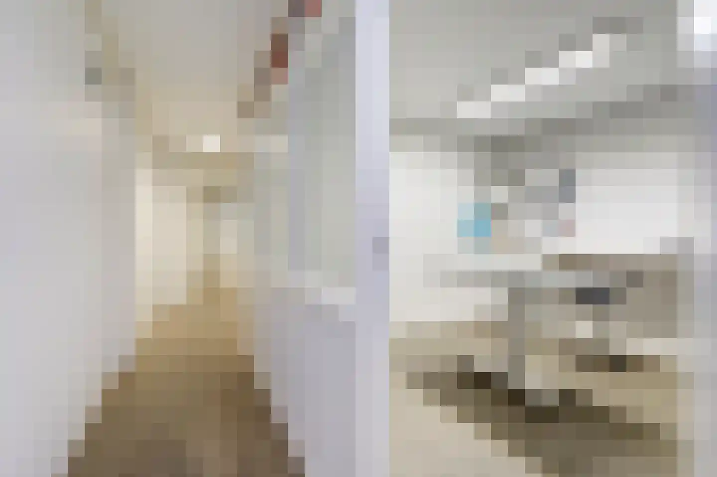 Prins Bernhardlaan 79 Waddinxveen thumbnail 13