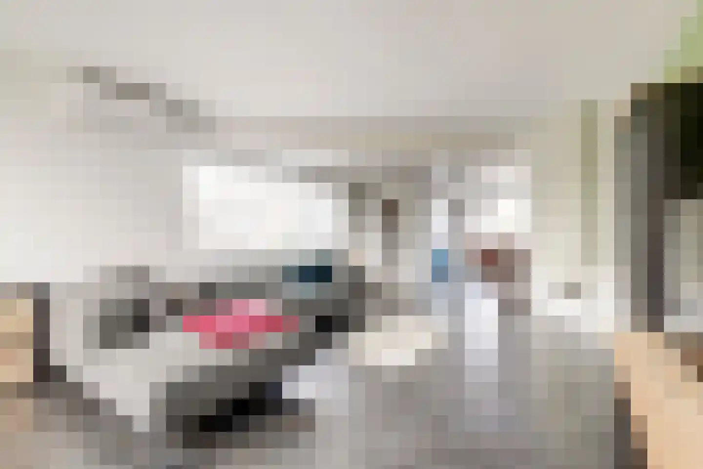 Prins Bernhardlaan 79 Waddinxveen thumbnail 24