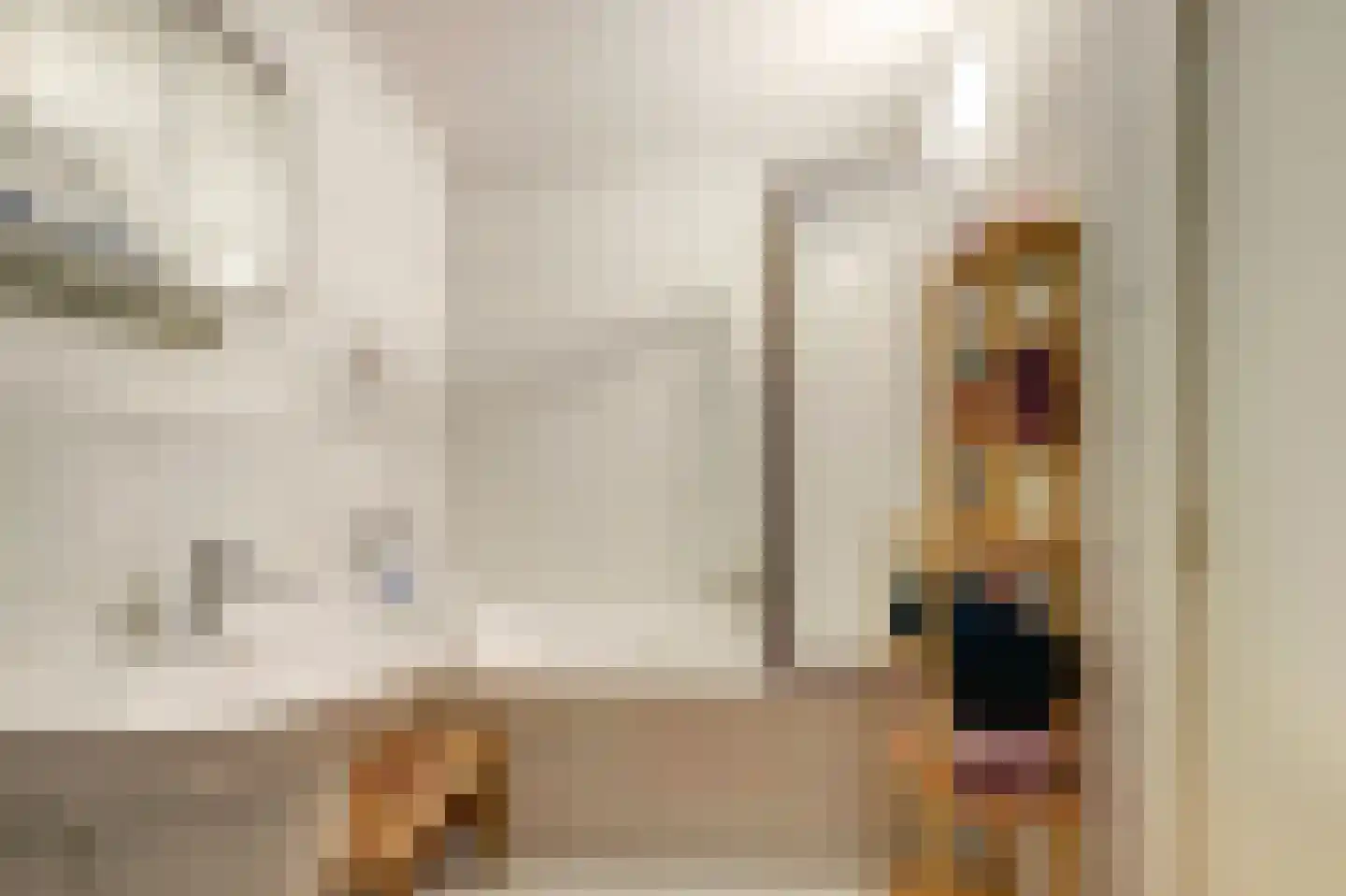 Prins Bernhardlaan 79 Waddinxveen thumbnail 34