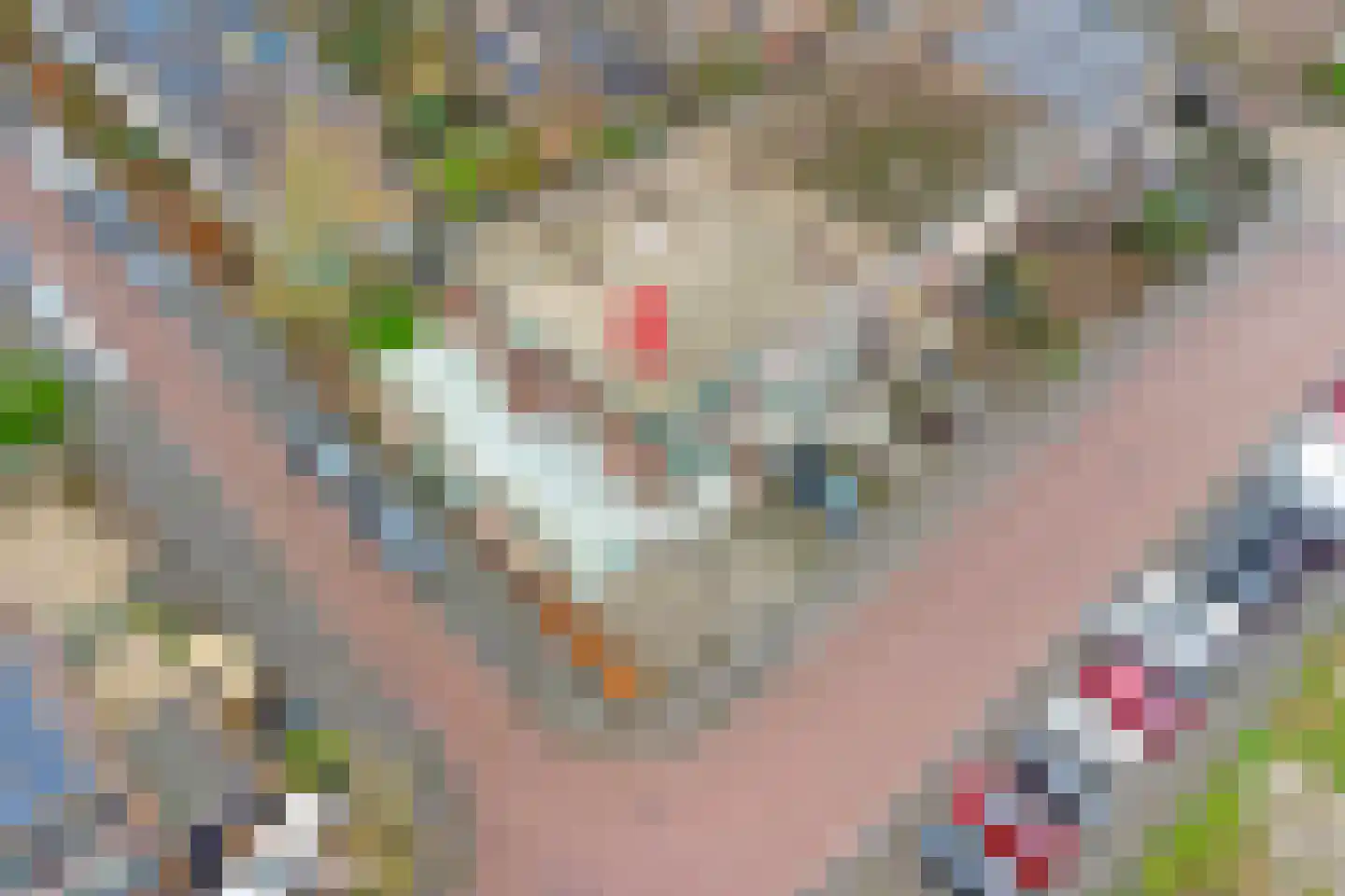 Prins Bernhardlaan 79 Waddinxveen thumbnail 8