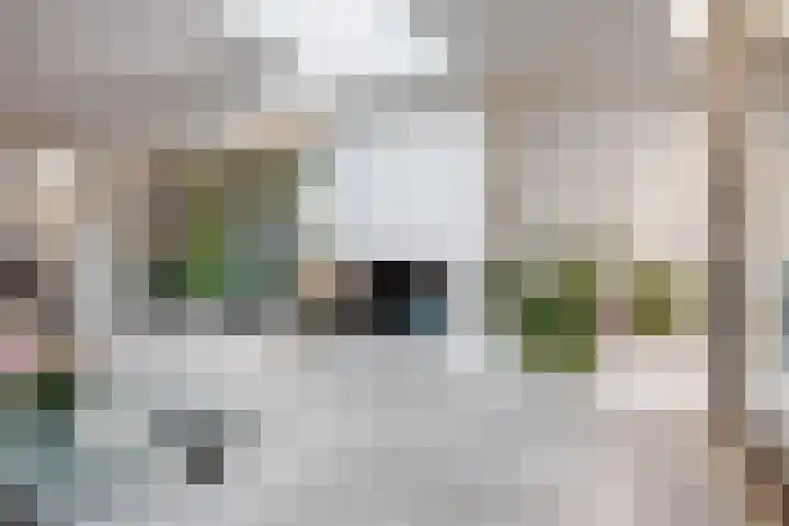 Prins Bernhardlaan 8 A Beverwijk thumbnail 13
