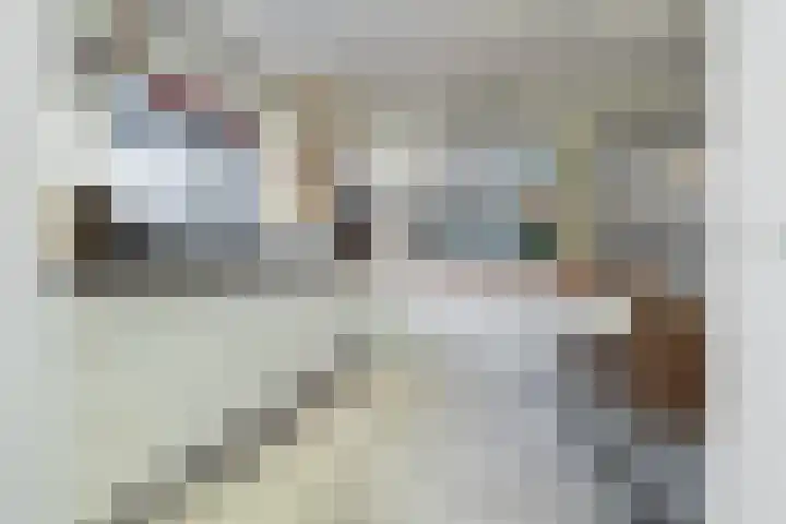 Prins Bernhardlaan 8 A Beverwijk thumbnail 16