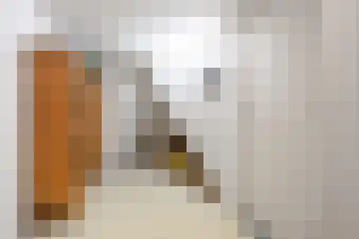 Prins Bernhardlaan 8 A Beverwijk thumbnail 22