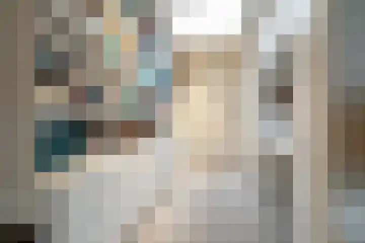 Prins Bernhardlaan 8 A Beverwijk thumbnail 23