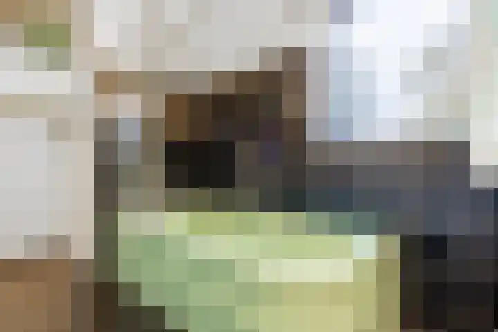 Prins Bernhardlaan 8 A Beverwijk thumbnail 34