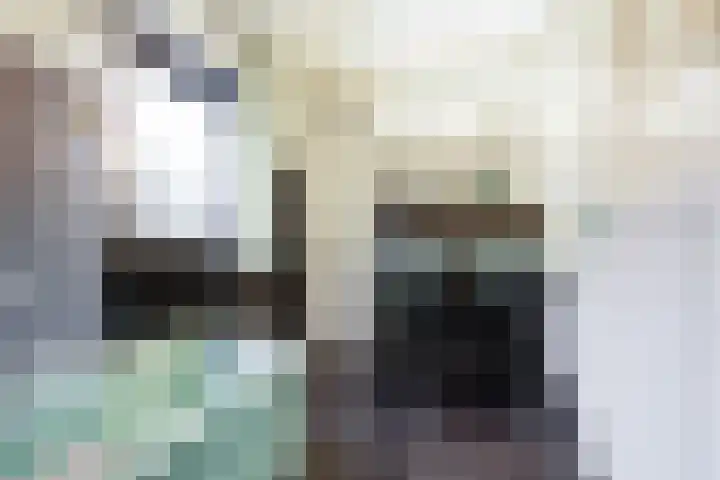 Prins Bernhardlaan 8 A Beverwijk thumbnail 35