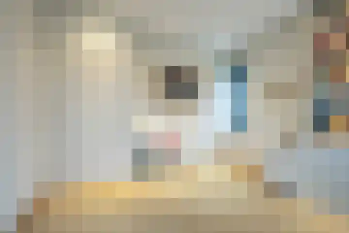 Prins Bernhardlaan 8 A Beverwijk thumbnail 36