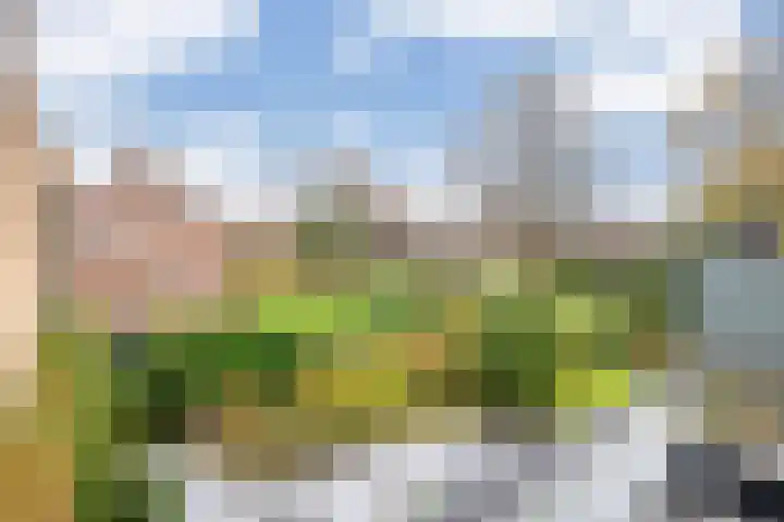 Prins Bernhardlaan 8 A Beverwijk thumbnail 45