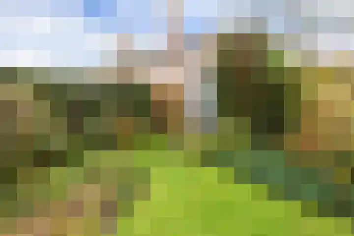 Prins Bernhardlaan 8 A Beverwijk thumbnail 51