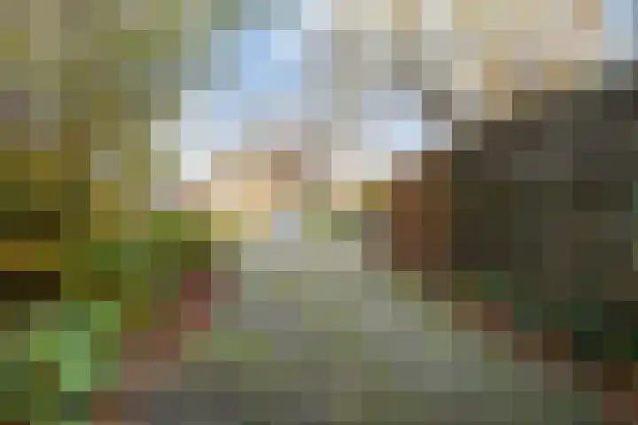 Prins Bernhardlaan 8 A Beverwijk thumbnail 53