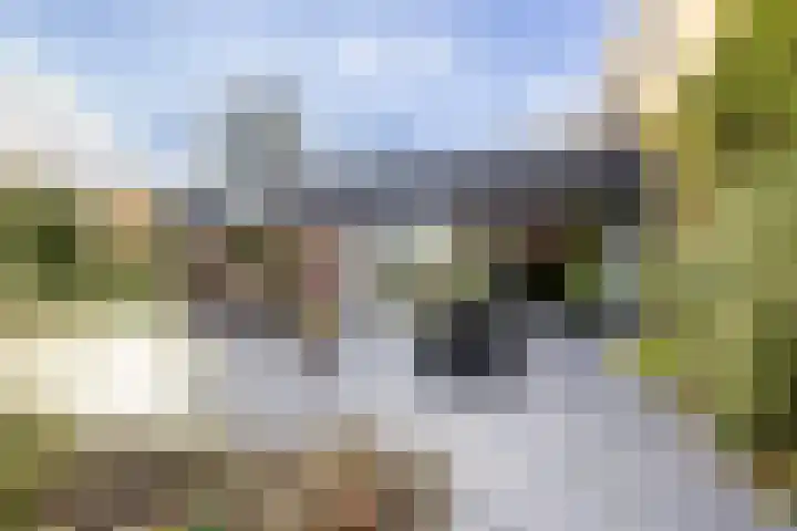 Prins Bernhardlaan 8 A Beverwijk thumbnail 54