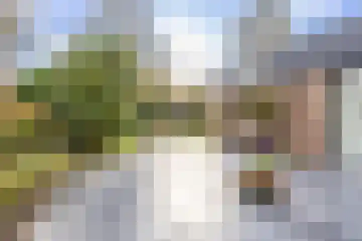 Prins Bernhardlaan 8 A Beverwijk thumbnail 57