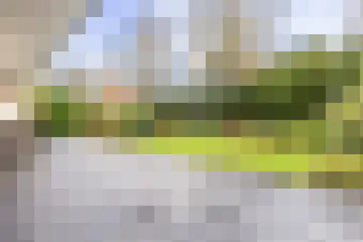 Prins Bernhardlaan 8 A Beverwijk thumbnail 59