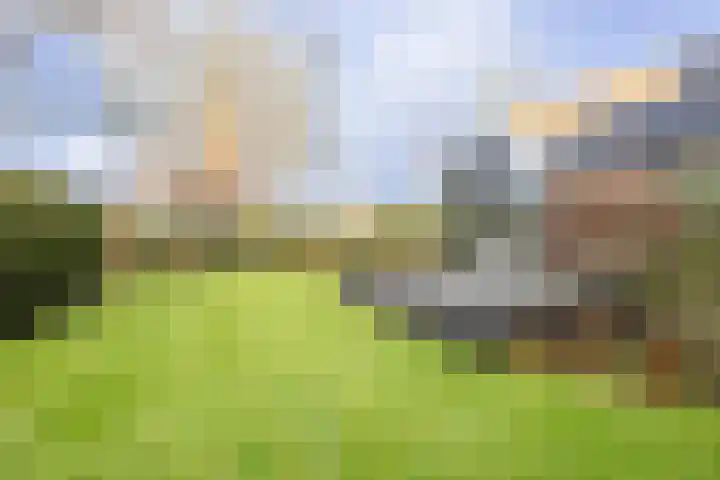 Prins Bernhardlaan 8 A Beverwijk thumbnail 63