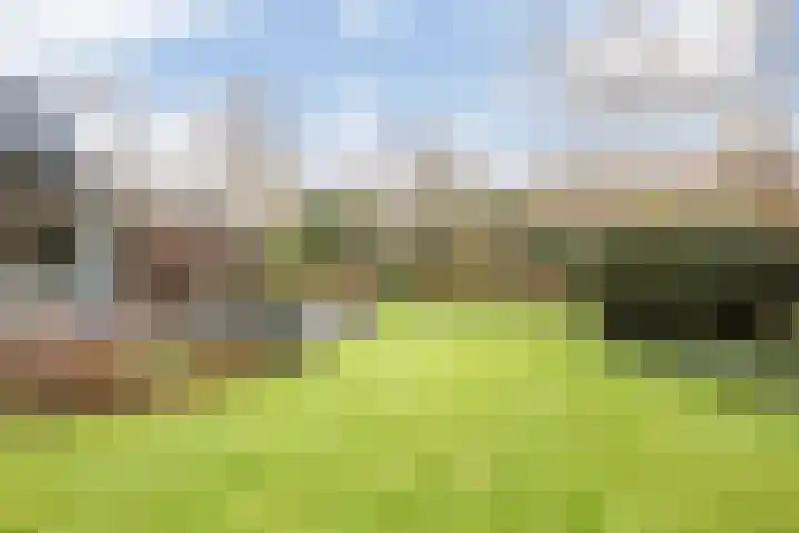 Prins Bernhardlaan 8 A Beverwijk thumbnail 64