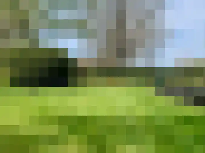 Prins Bernhardlaan 8 A Beverwijk thumbnail 73