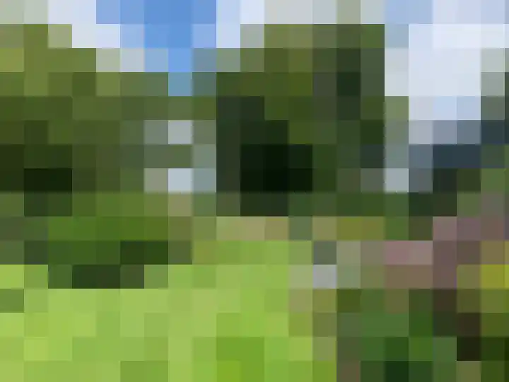 Prins Bernhardlaan 8 A Beverwijk thumbnail 74
