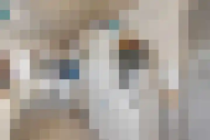 Prins Bernhardlaan 8 Koekange thumbnail 19