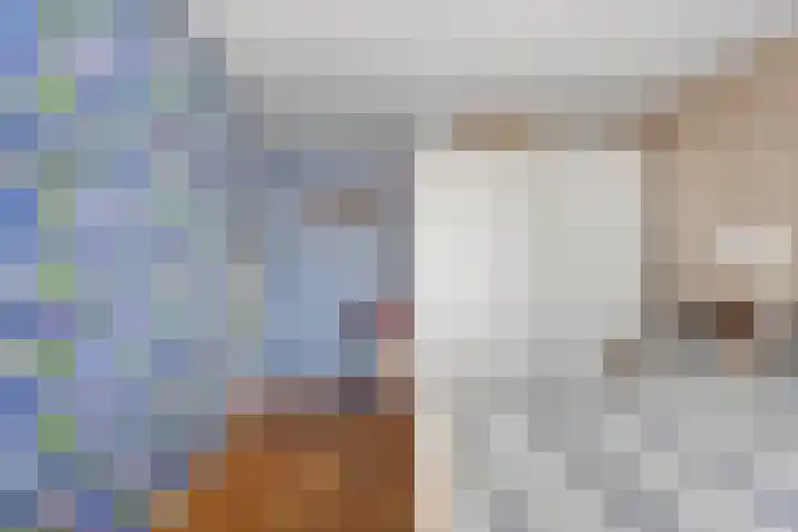 Prins Bernhardlaan 8 Koekange thumbnail 24