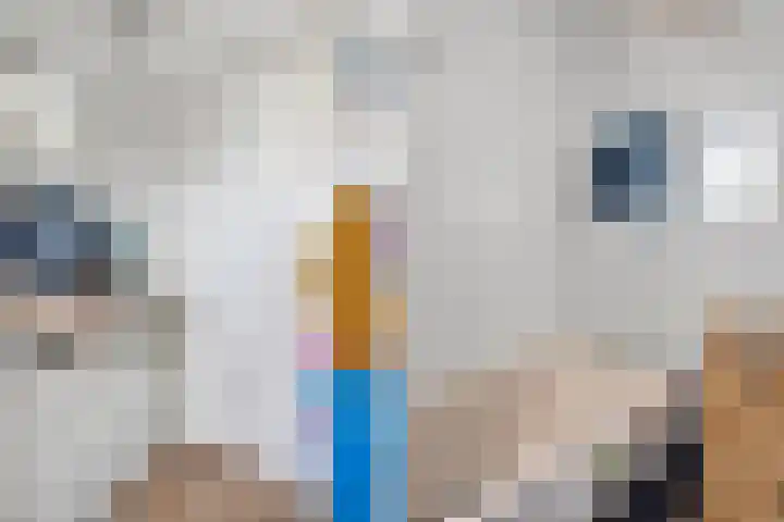 Prins Bernhardlaan 8 Koekange thumbnail 28