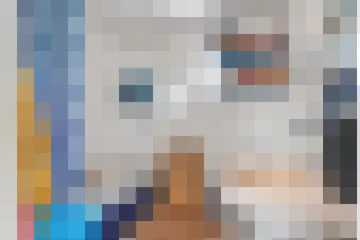 Prins Bernhardlaan 8 Koekange thumbnail 29