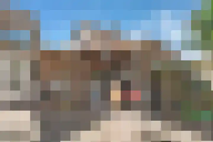 Prins Bernhardlaan 8 Koekange thumbnail 36