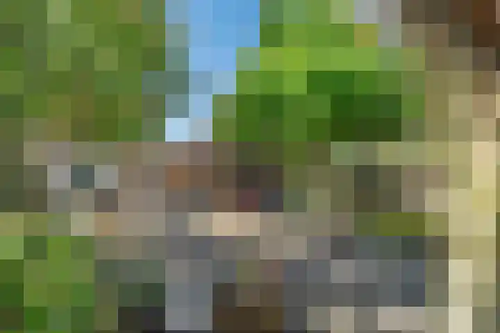 Prins Bernhardlaan 8 Koekange thumbnail 41