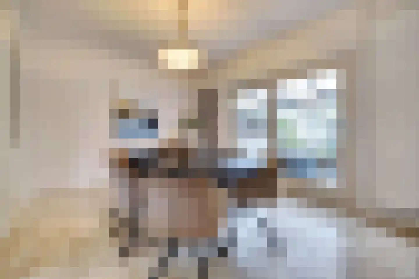 Prins Bernhardlaan 8 Vlijmen thumbnail 10