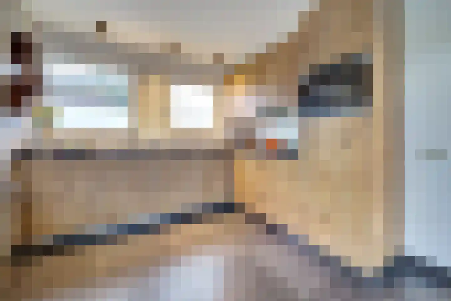 Prins Bernhardlaan 8 Vlijmen thumbnail 13