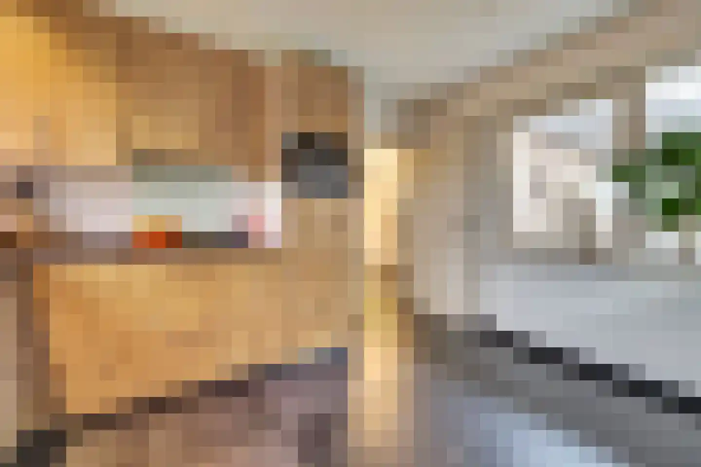 Prins Bernhardlaan 8 Vlijmen thumbnail 16