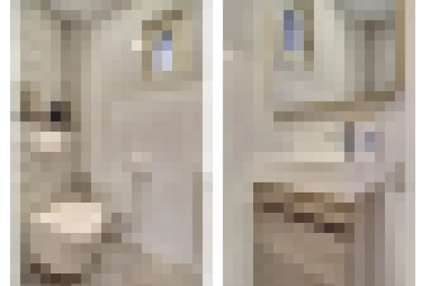 Prins Bernhardlaan 8 Vlijmen thumbnail 18