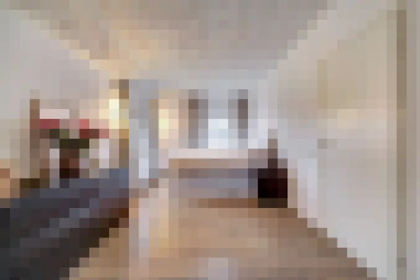 Prins Bernhardlaan 8 Vlijmen thumbnail 23