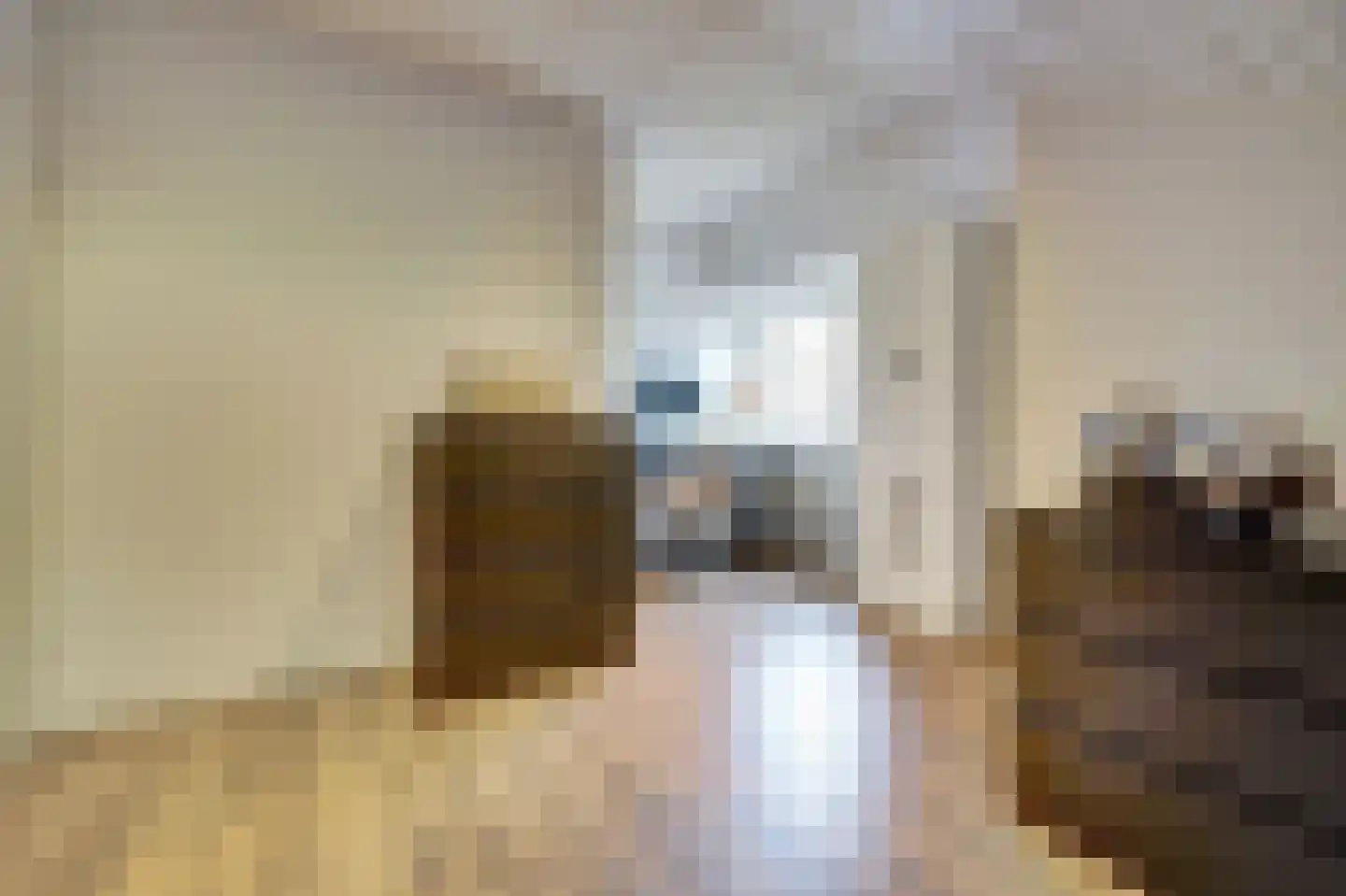 Prins Bernhardlaan 8 Vlijmen thumbnail 33