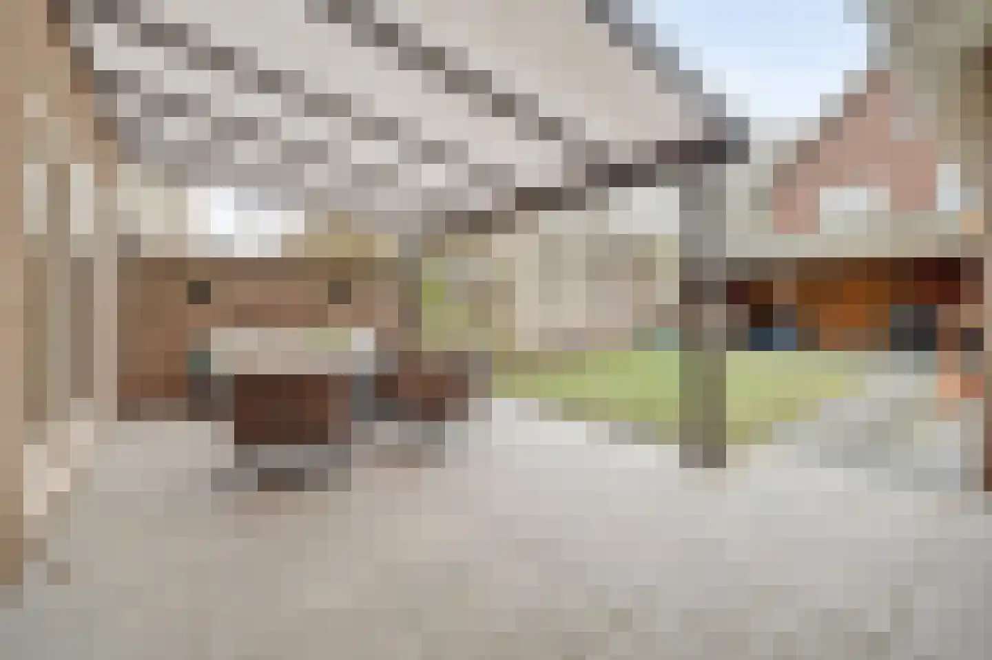 Prins Bernhardlaan 8 Vlijmen thumbnail 39