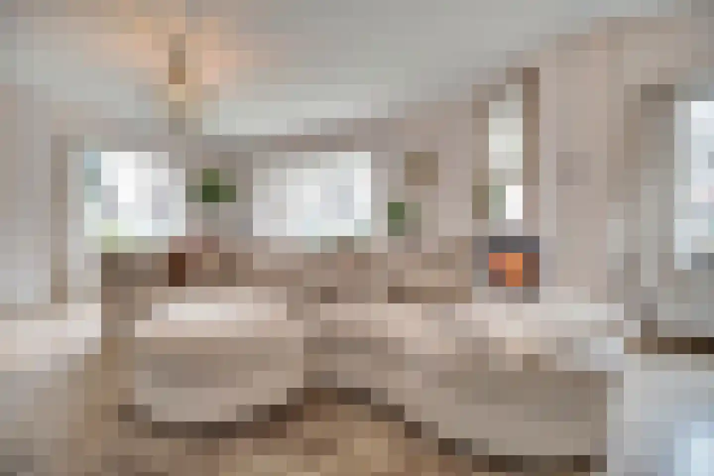 Prins Bernhardlaan 8 Vlijmen thumbnail 4