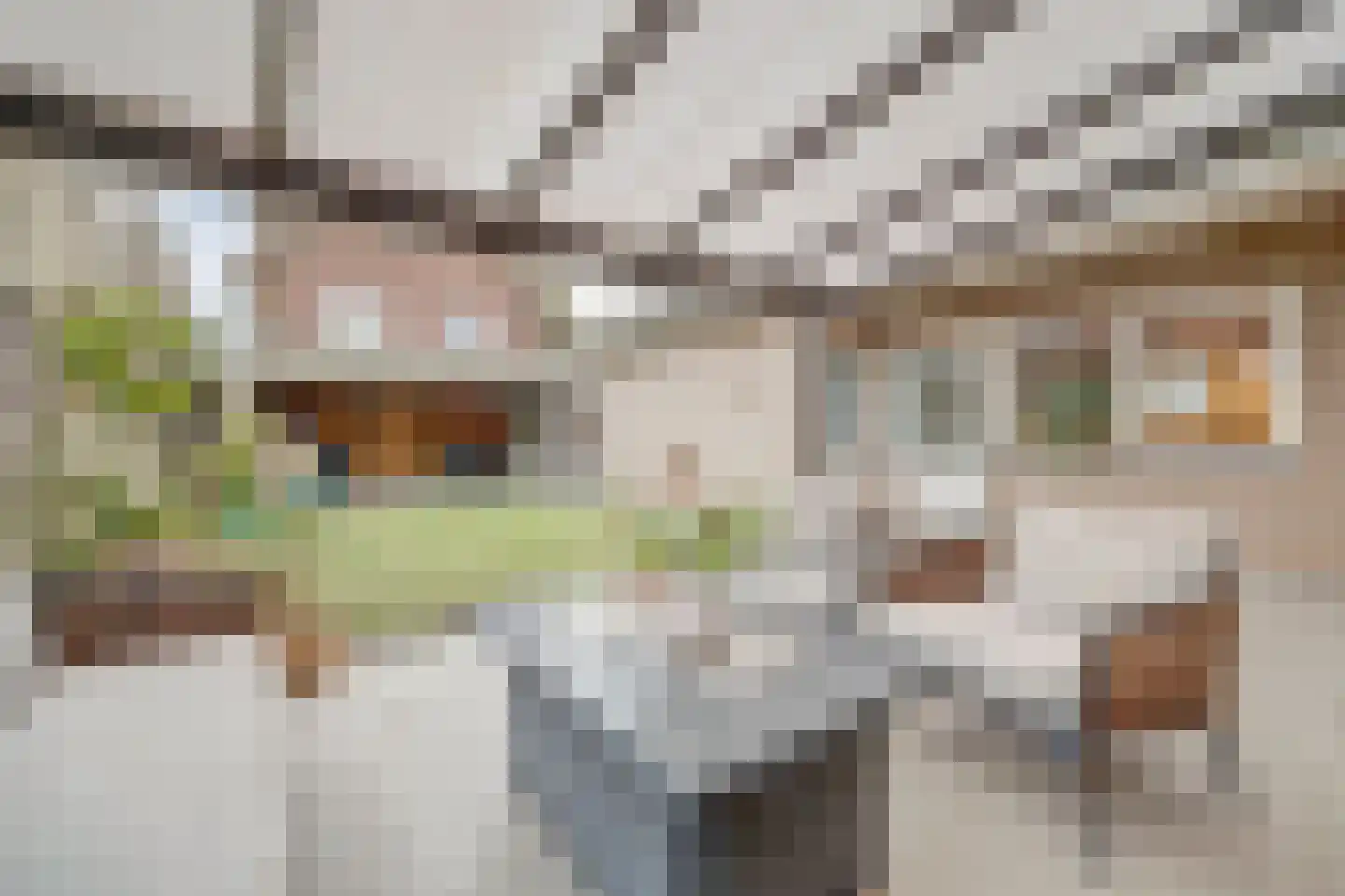 Prins Bernhardlaan 8 Vlijmen thumbnail 40