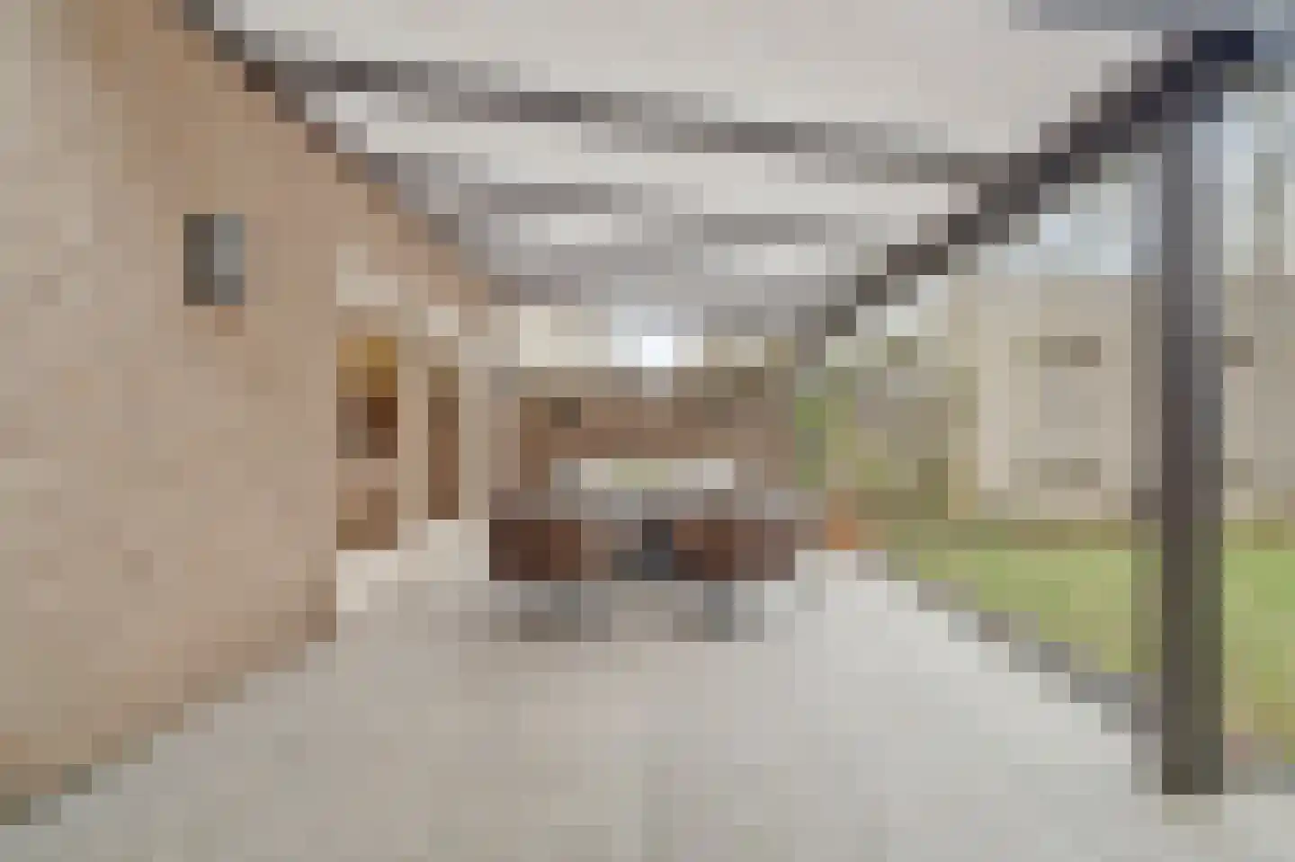 Prins Bernhardlaan 8 Vlijmen thumbnail 41