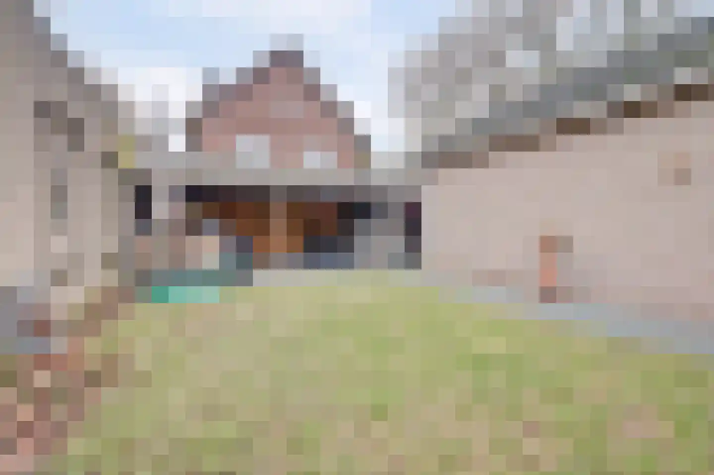 Prins Bernhardlaan 8 Vlijmen thumbnail 44