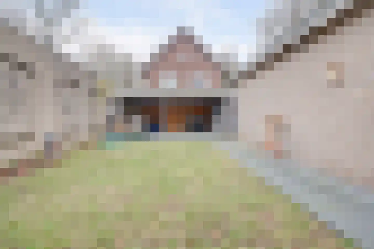 Prins Bernhardlaan 8 Vlijmen thumbnail 45
