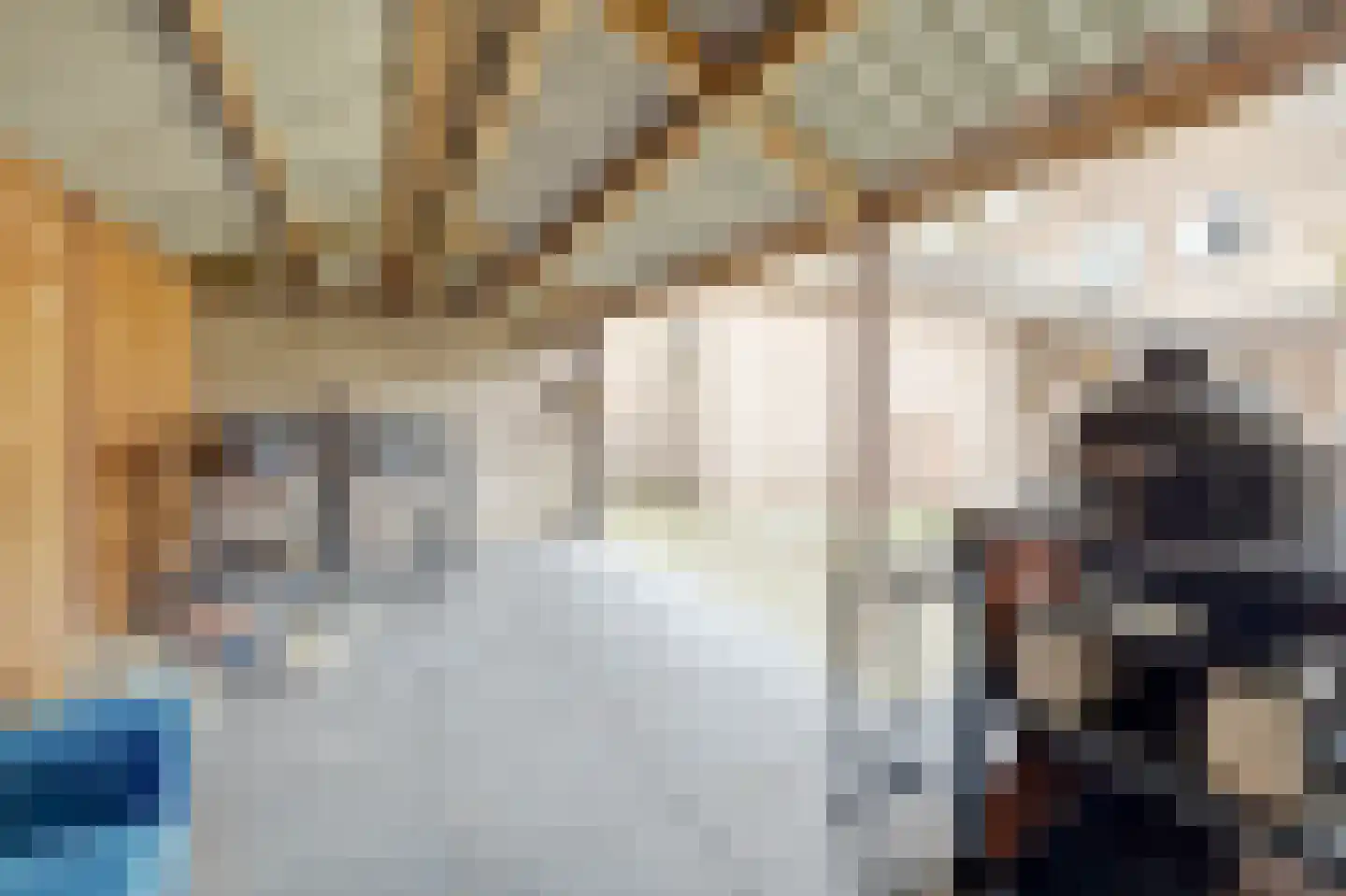 Prins Bernhardlaan 8 Vlijmen thumbnail 47